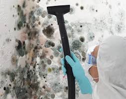 Environmental Consulting for Mold Prevention in Renovo, PA